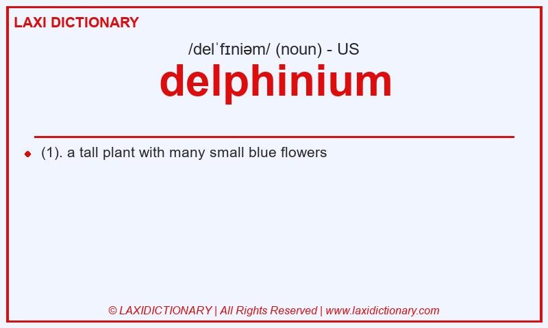 Definition delphinium in American English