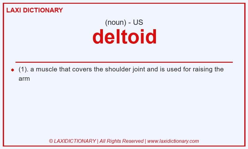 Definition deltoid in American English