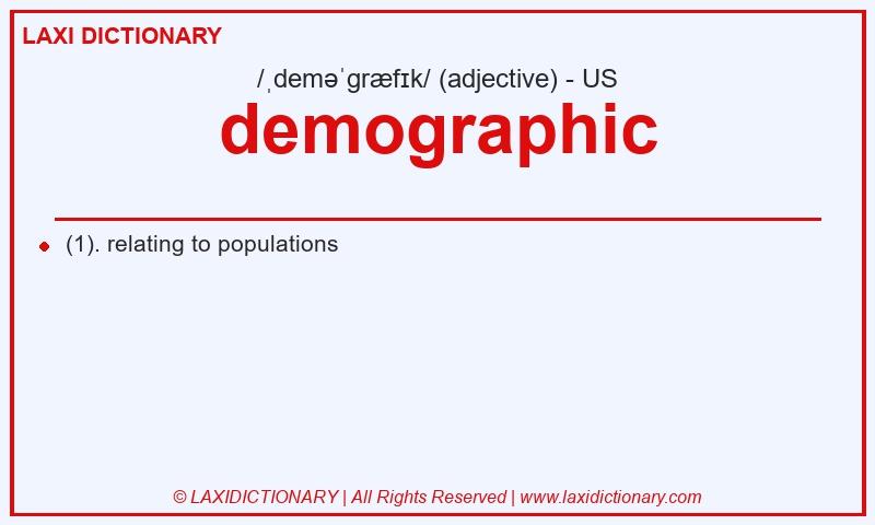 Definition demographic in American English