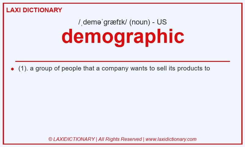 Definition demographic in American English