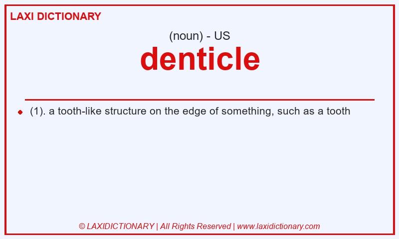 Definition denticle in American English