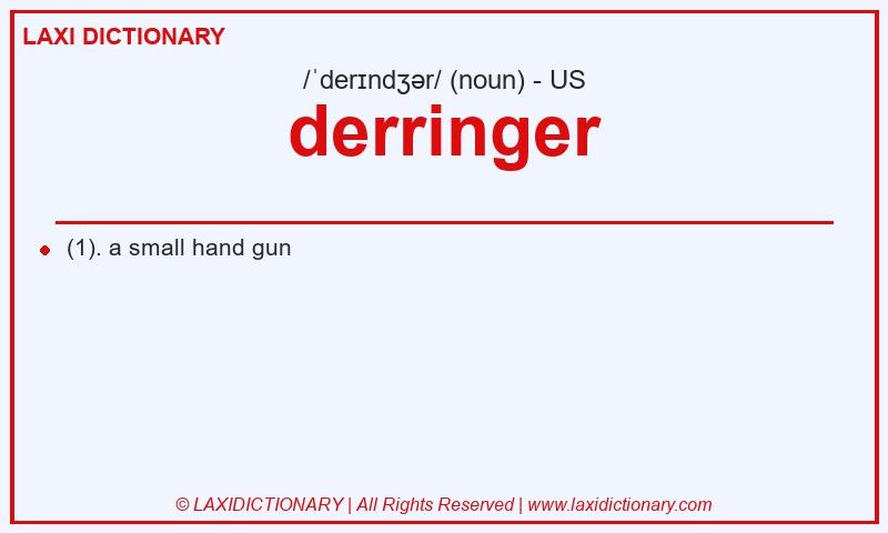 Definition derringer in American English