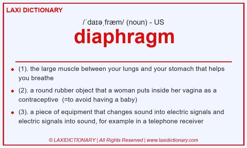 Definition diaphragm in American English