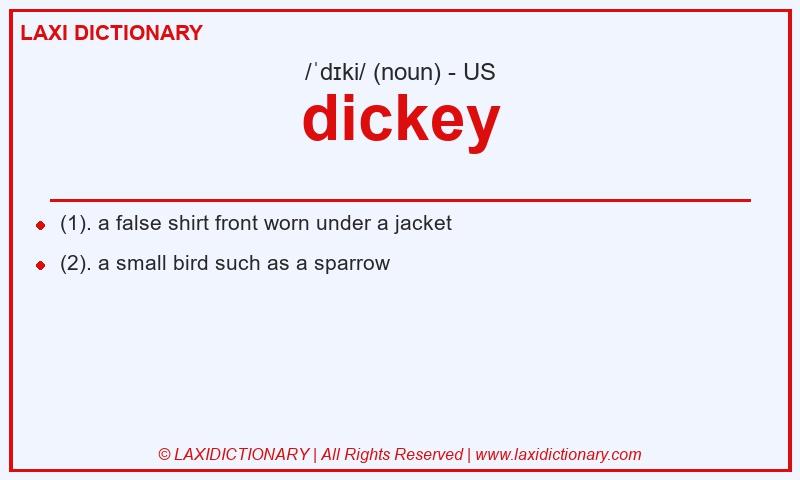 Definition dickey in American English