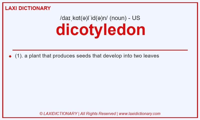 Definition dicotyledon in American English