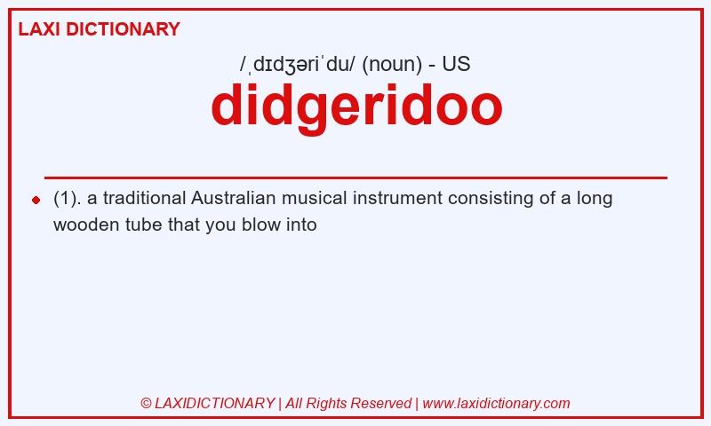 Definition didgeridoo in American English