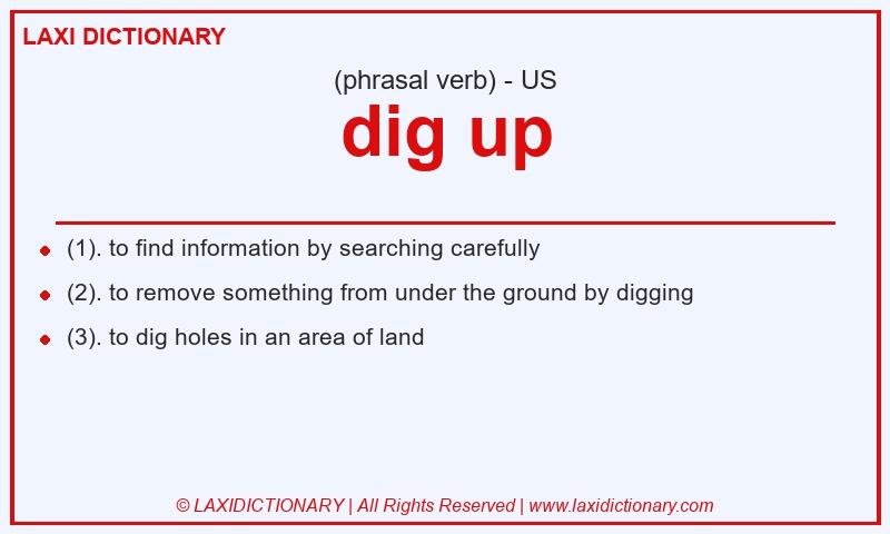 Definition dig up in American English