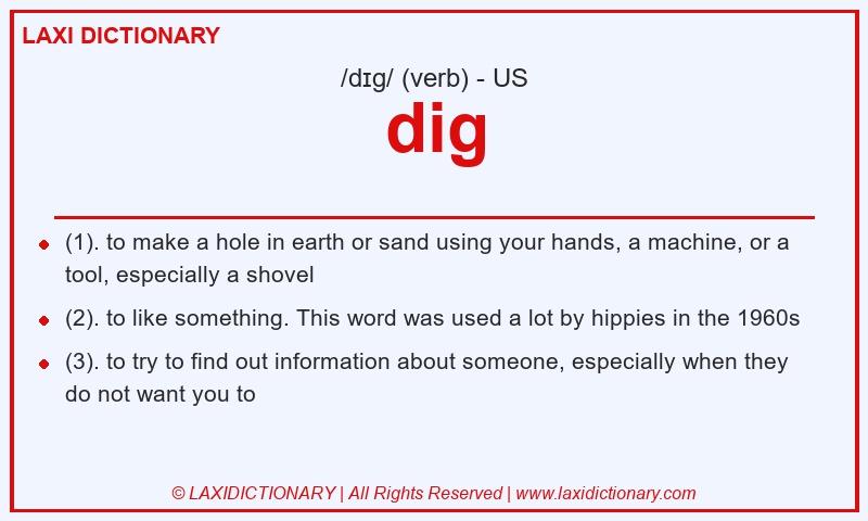 Definition dig in American English