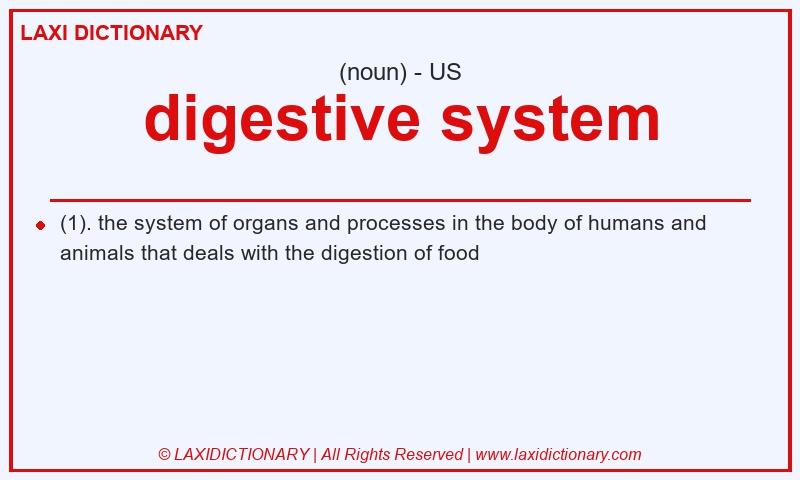 Definition digestive system in American English