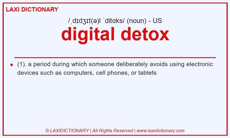 Definition digital detox in American English