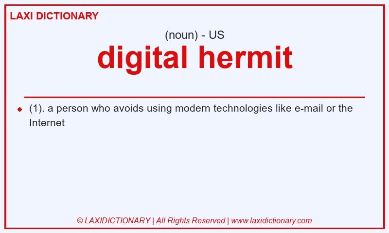 Definition digital hermit in American English
