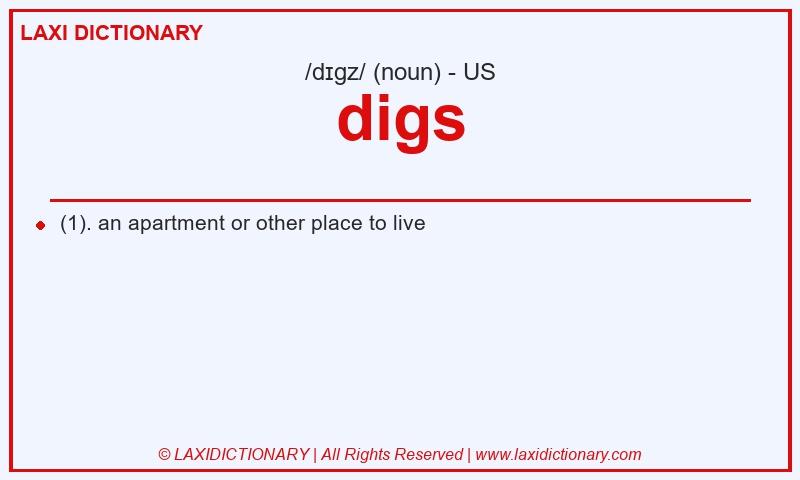 Definition digs in American English