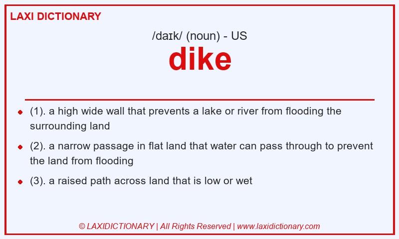 Definition dike in American English