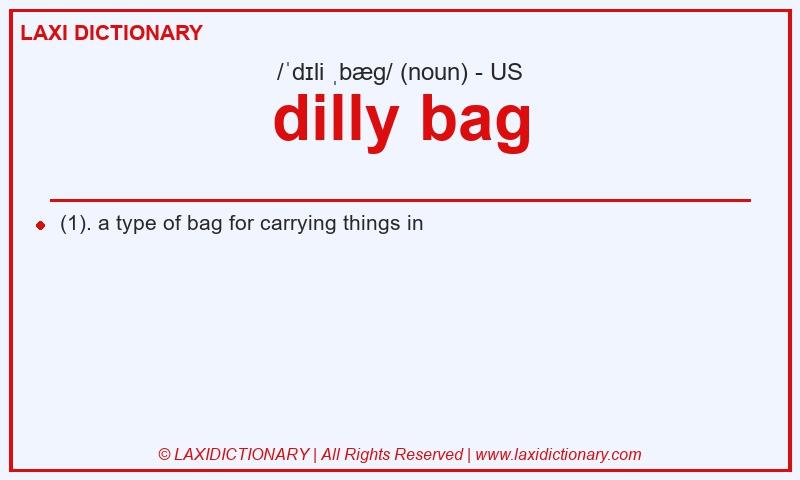 Definition dilly bag in American English