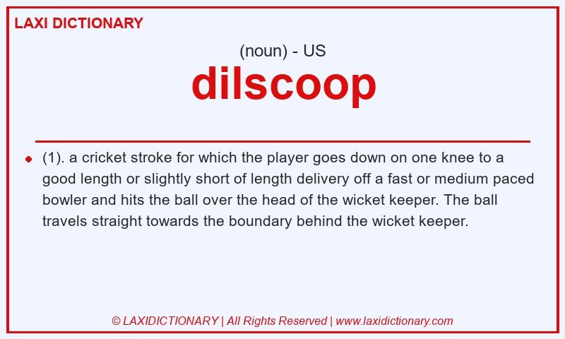 Definition dilscoop in American English