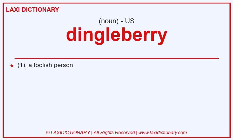 Definition dingleberry in American English