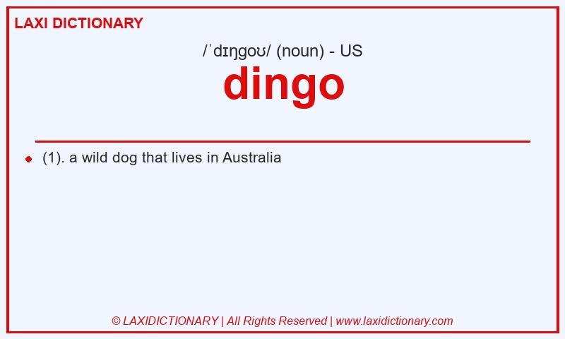Definition dingo in American English