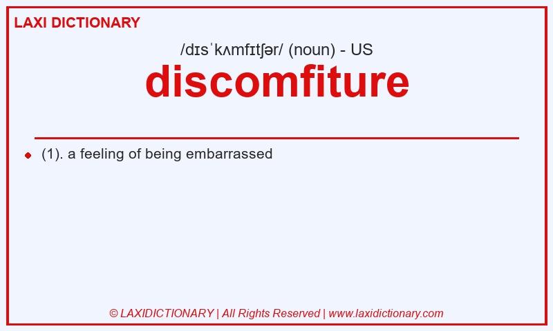 Definition discomfiture in American English