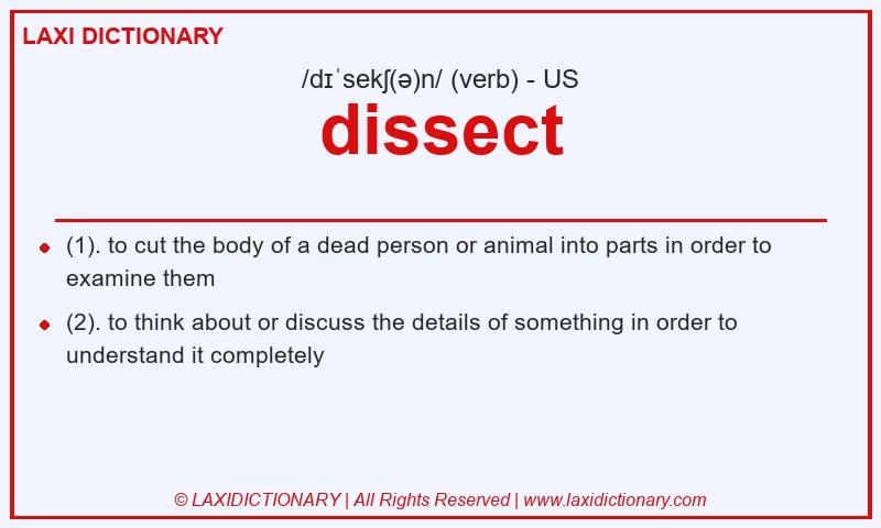 Definition dissect in American English