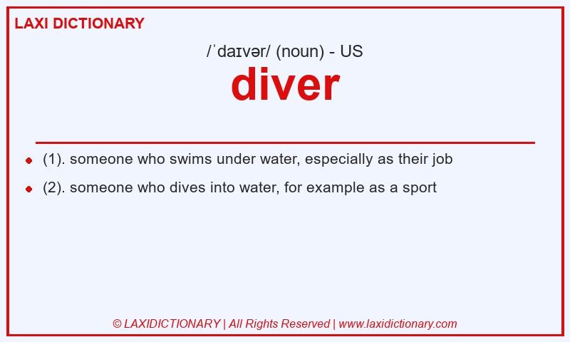Definition diver in American English
