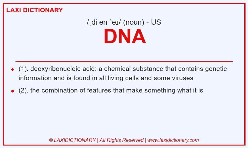 Definition DNA in American English