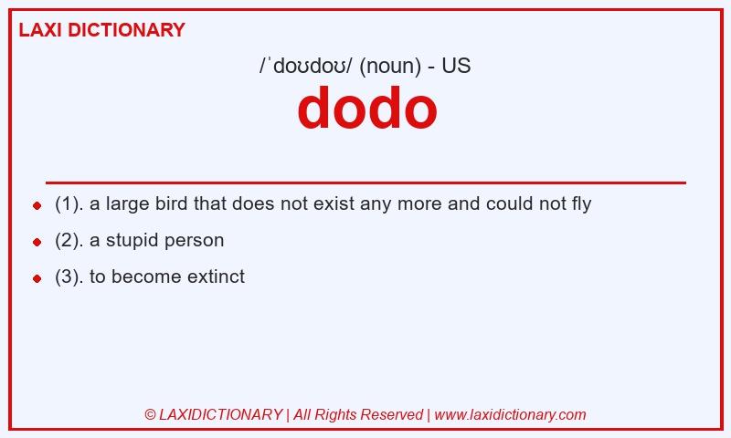 Definition dodo in American English