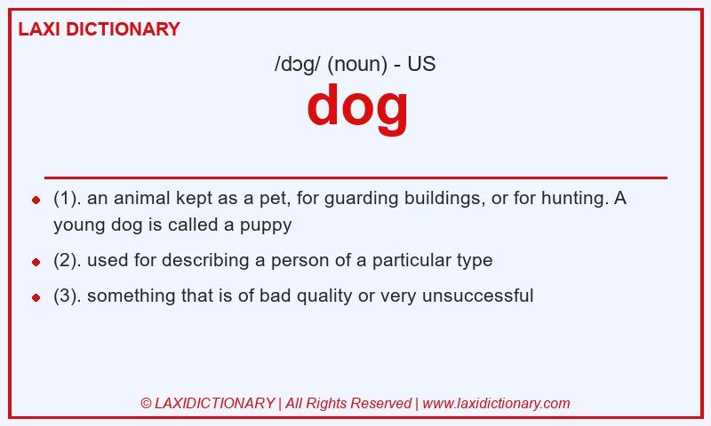 Definition dog in American English