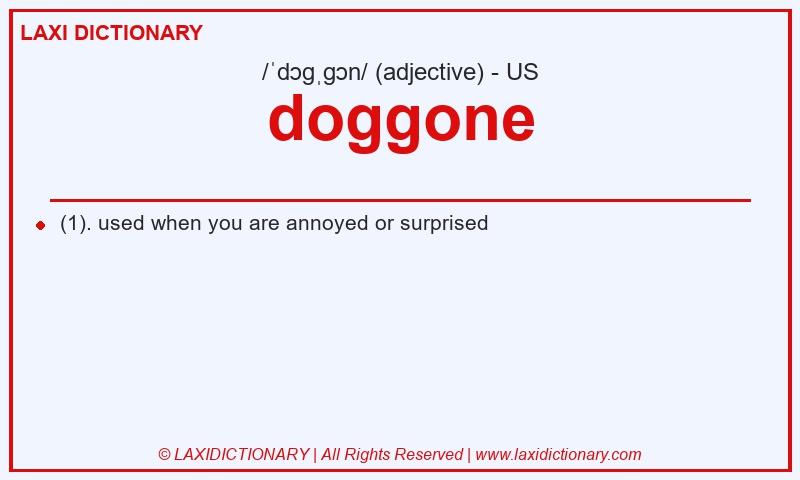 Definition doggone in American English