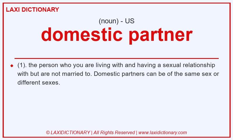 Definition domestic partner in American English