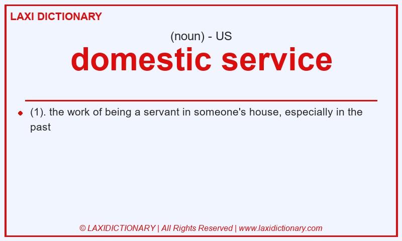Definition domestic service in American English