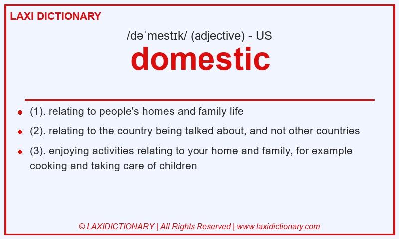 Definition domestic in American English