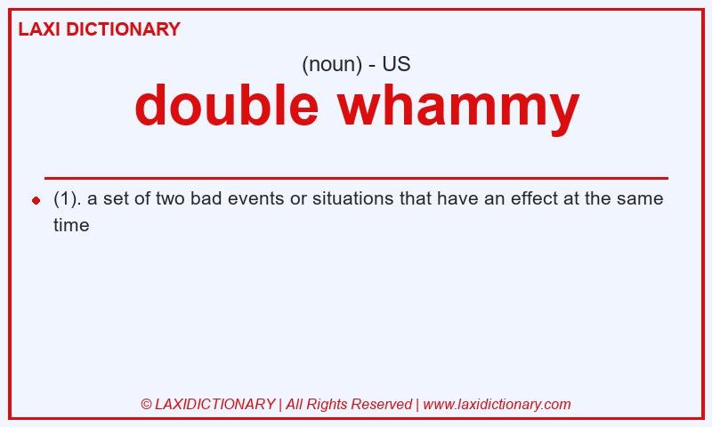 Definition double whammy in American English