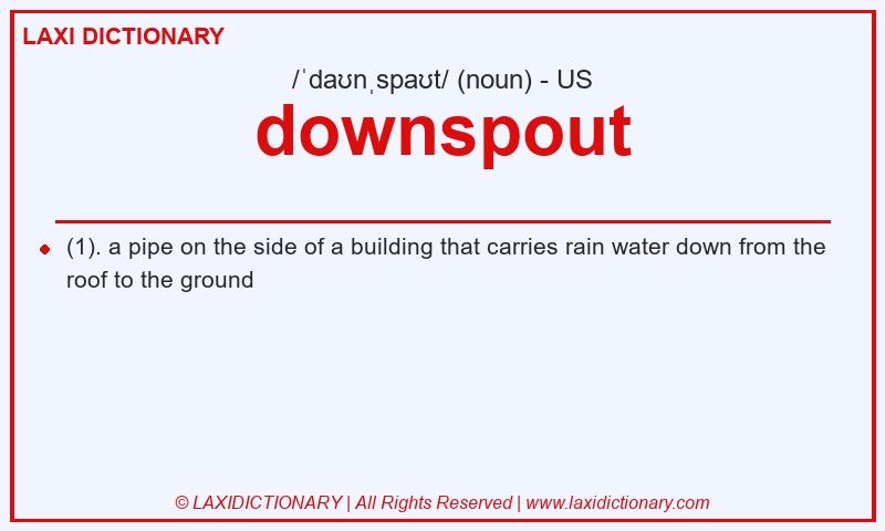 Definition downspout in American English