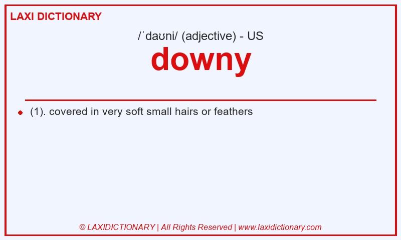 Definition downy in American English