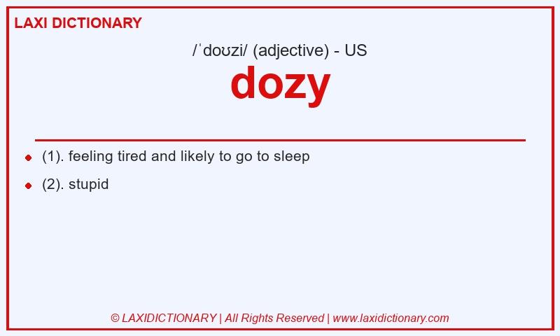 Definition dozy in American English