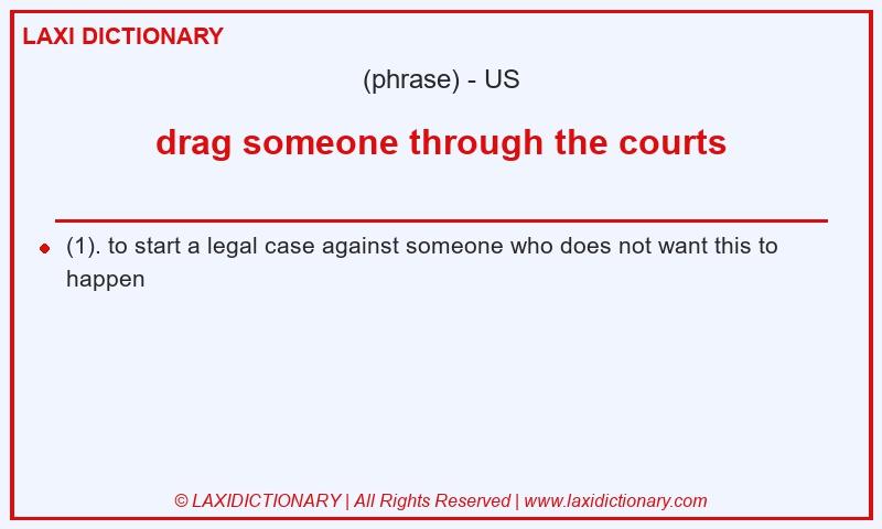 Definition drag someone through the courts in American English
