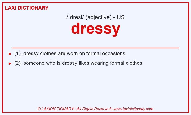 Definition dressy in American English