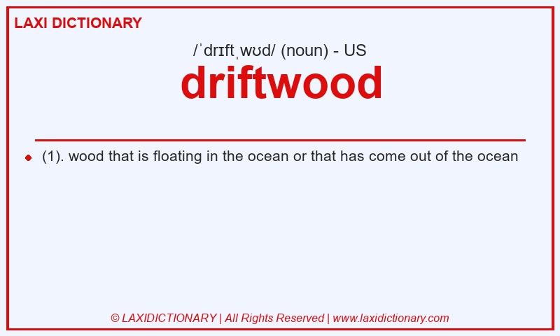 Definition driftwood in American English