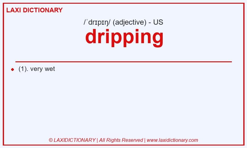 Definition dripping in American English