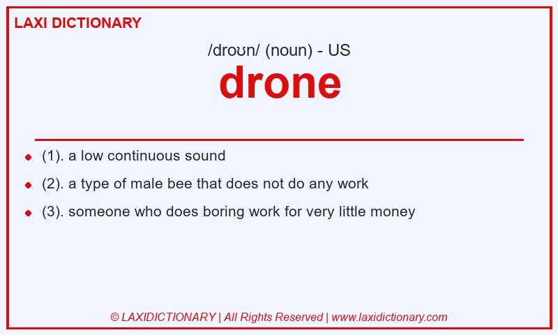 Definition drone in American English