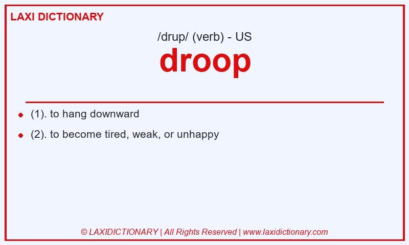 Definition droop in American English