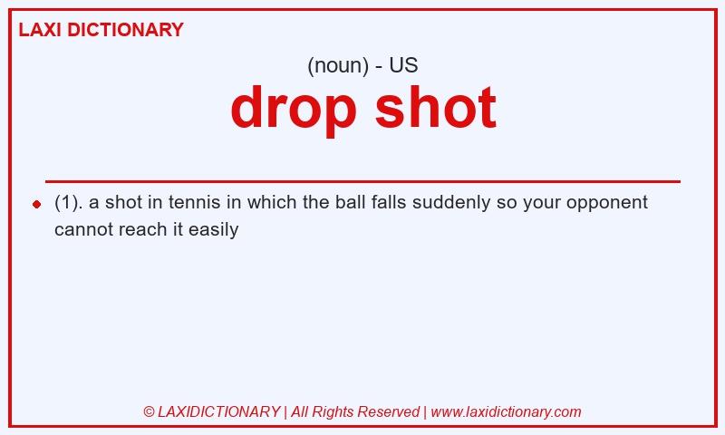 Definition drop shot in American English