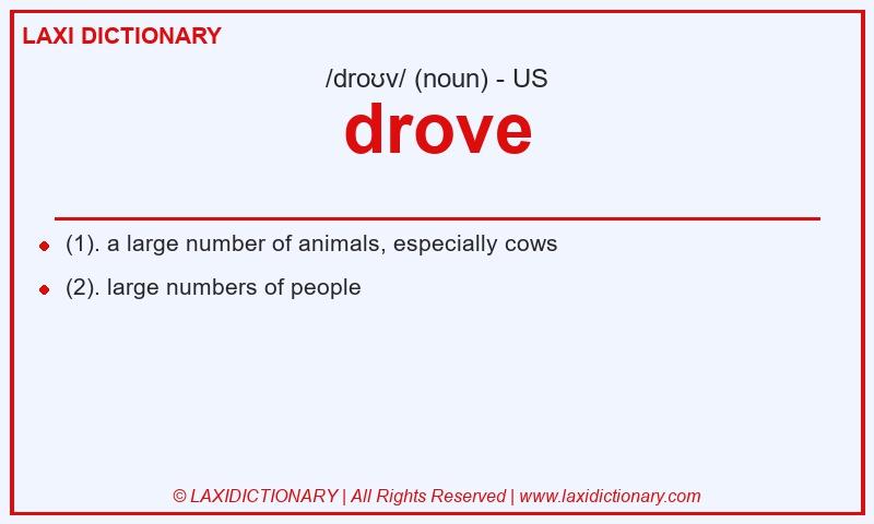 Definition drove in American English