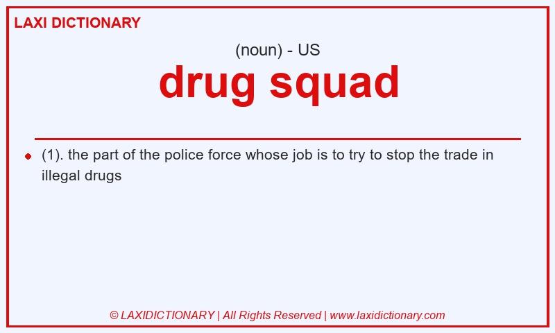 Definition drug squad in American English