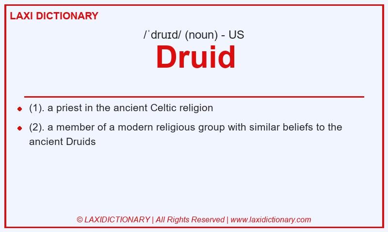 Definition Druid in American English