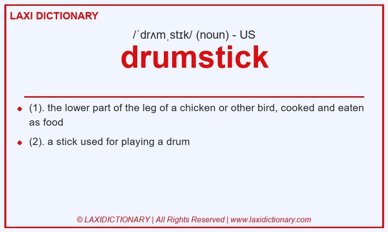 Definition drumstick in American English