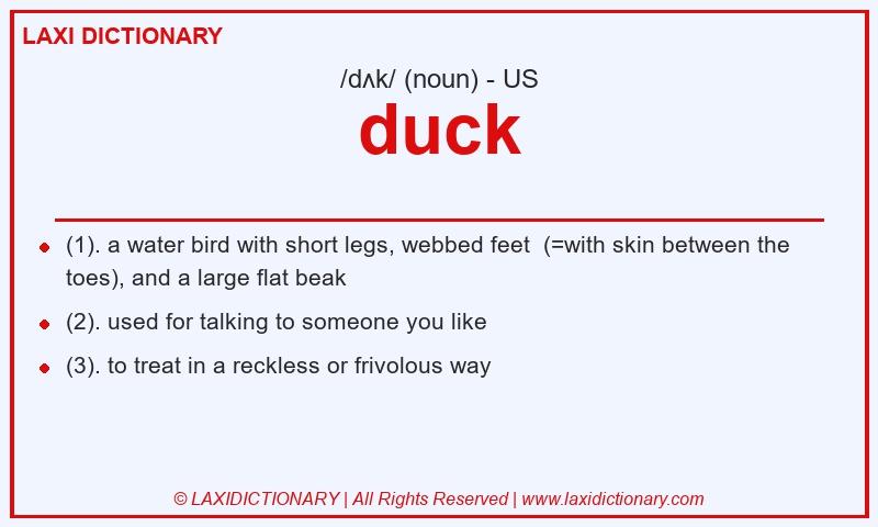 Definition duck in American English