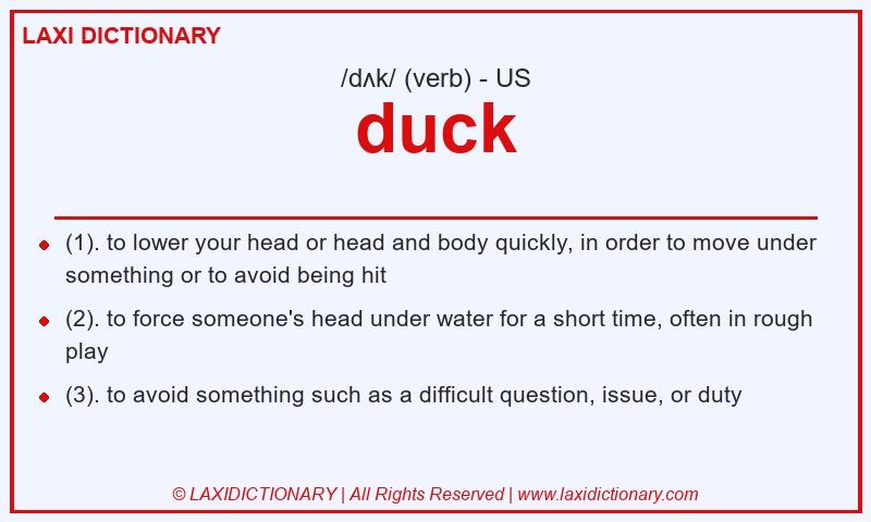 Definition duck in American English