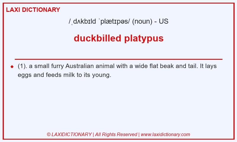 Definition duckbilled platypus in American English