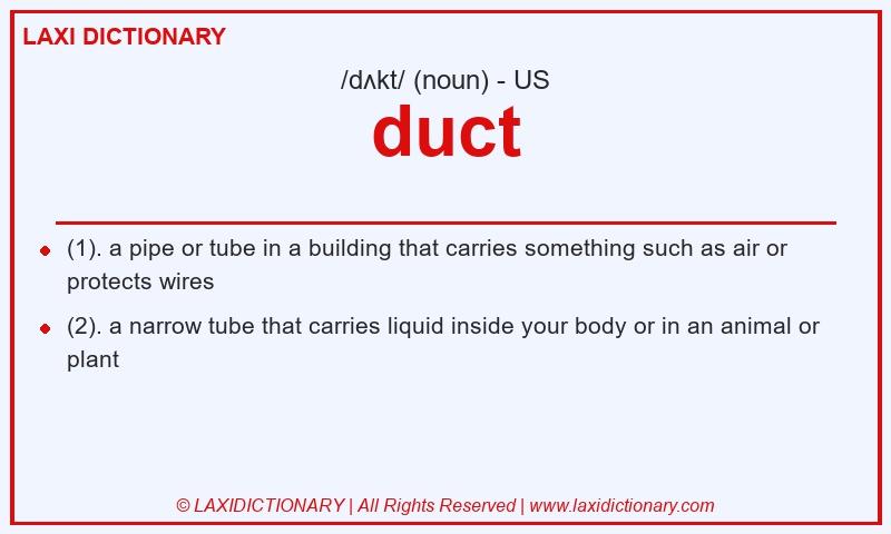 Definition duct in American English